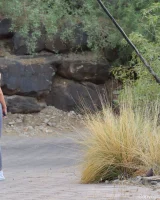 Ftv Girls - 49-giselle04049