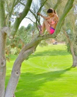 Ftv Girls - 63-lana363