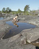 Stunning 18 - 53-0053