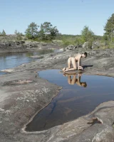 Stunning 18 - 54-0054