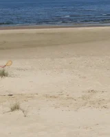 Nudist Camp - 04-07-img_2691