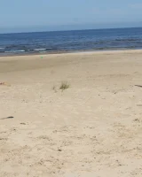 Nudist Camp - 15-07-img_2711