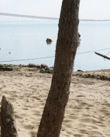 Club Sweethearts - 34-0043