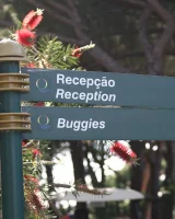 Viv Thomas - 09-gdolsop-009