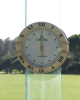 Viv Thomas - 10-gdolsop-010