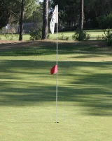 Viv Thomas - 33-gdolsop-033