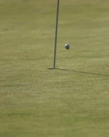 Viv Thomas - 37-gdolsop-037